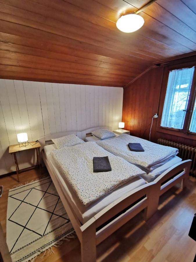 Chalet Edelweiss זיגריזוויל מראה חיצוני תמונה
